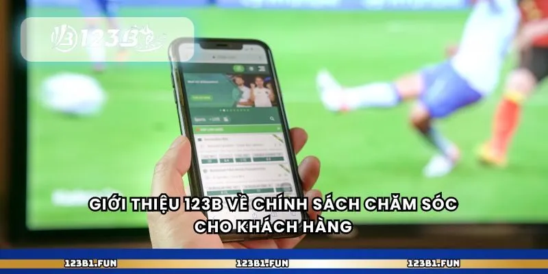 Giới thiệu 123B về chính sách chăm sóc cho khách hàng 