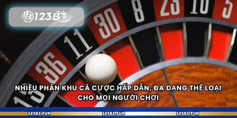 Nhiều phân khu cá cược hấp dẫn, đa dạng thể loại cho mọi người chơi